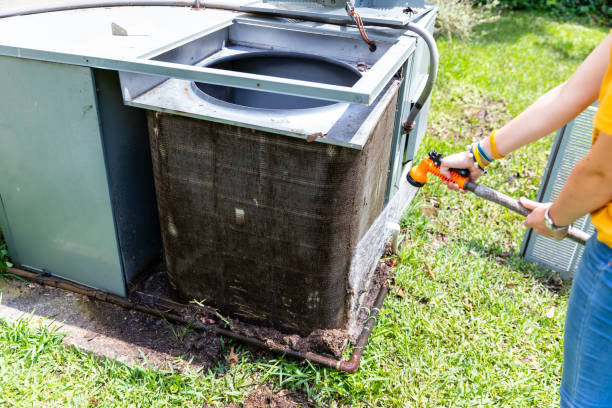 Best Local Air Duct Cleaning Services  in Rock Valley, IA